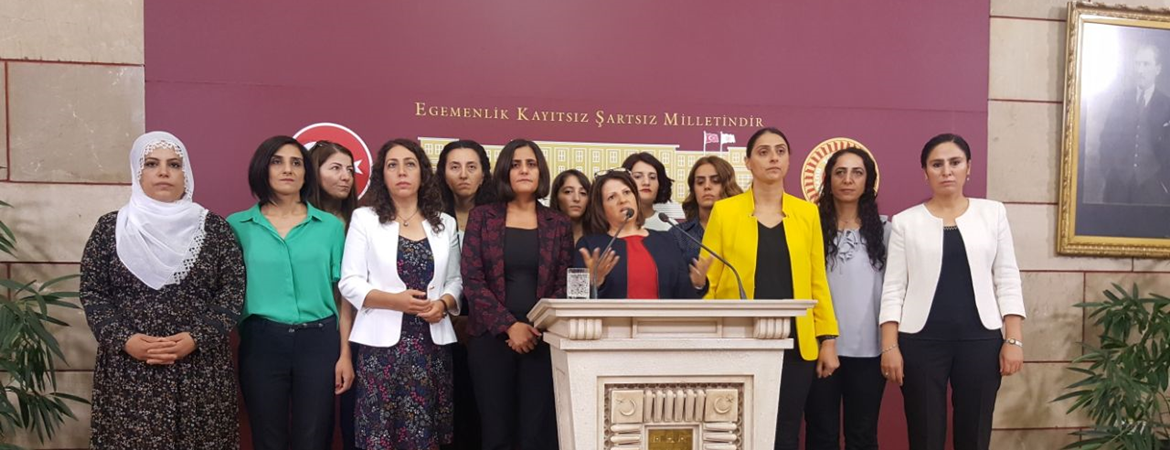 HDP’li Kadın milletvekillerinden Bakan Selçuk’a tek soruluk önerge: “Şiddete uğradığınızda kendinizi ne ile savunacaksınız?