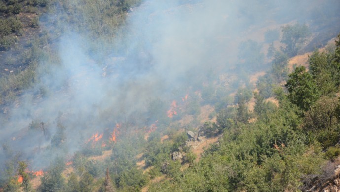 Bitlis’te yangın sürüyor: Binlerce hektar küle döndü