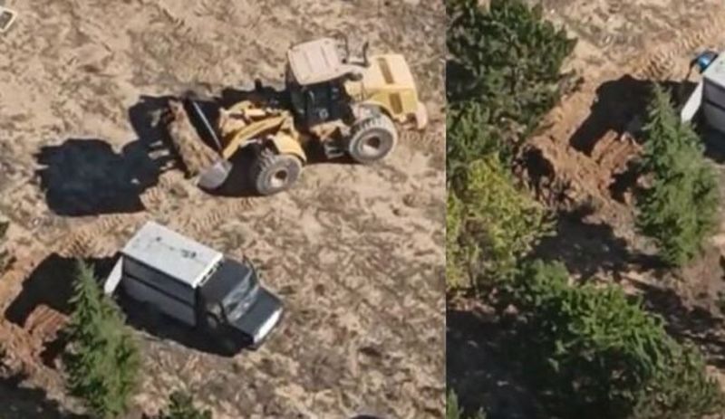 AKP’li belediye onlarca köpeği diri diri toprağa gömdürdü