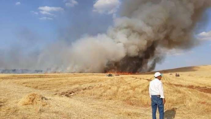 Silvan’da 200 dönüm ekili buğday tarlası yandı