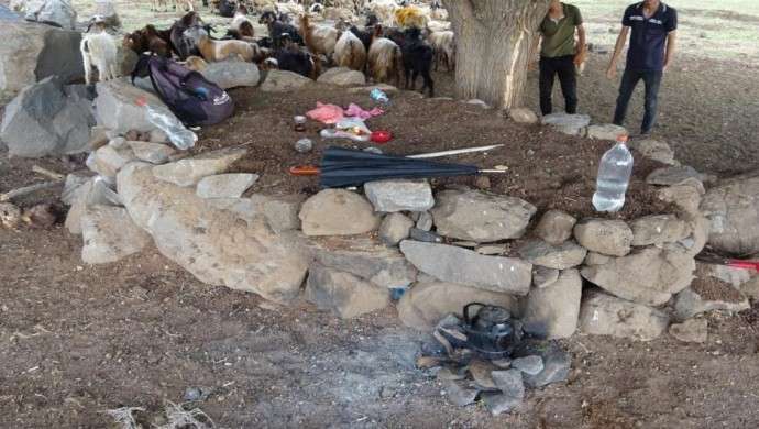 Diyarbakır’da yıldırım düştü: 6 çoban yaralı