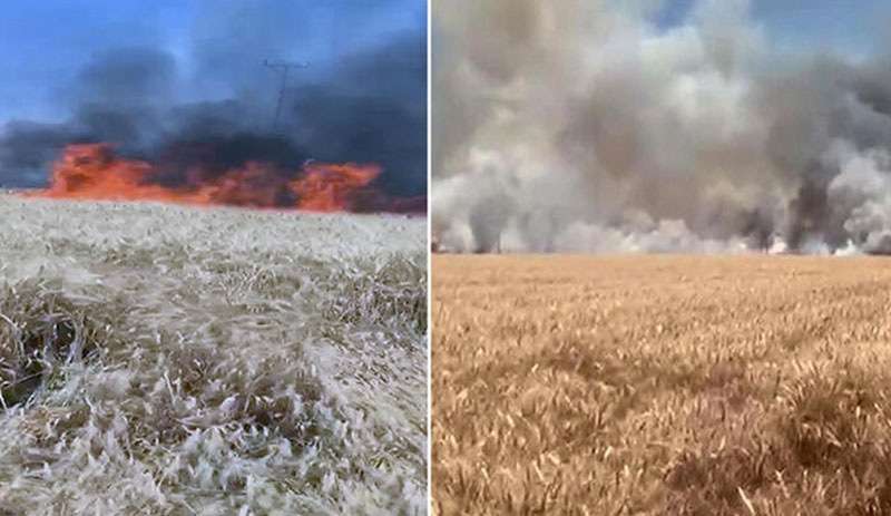 Mardin’de 60 dönüm ekili buğday yandı