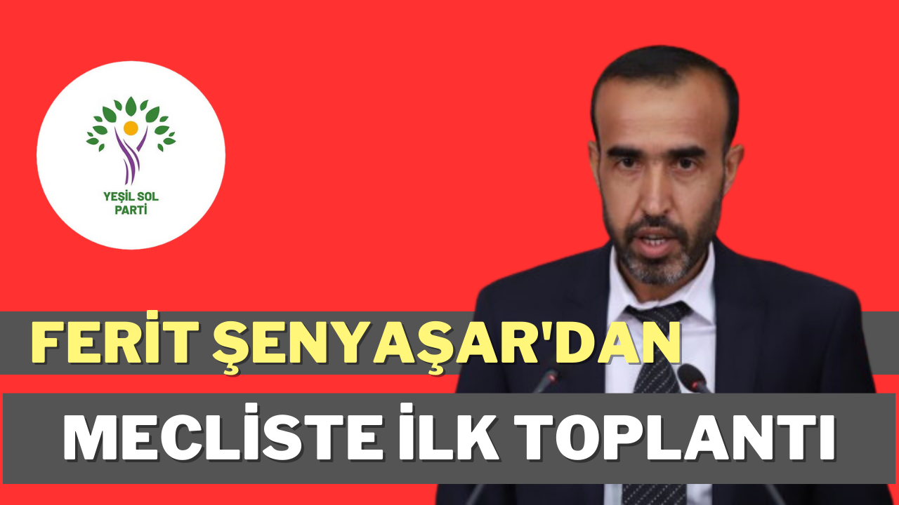 Ferit Şenyaşar’dan Meclis’te ilk basın açıklaması