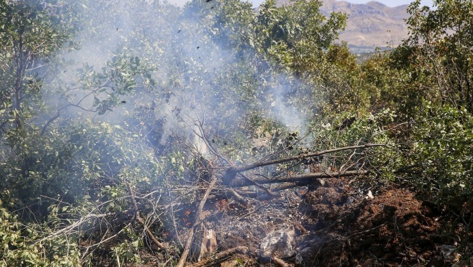 Lice’de yangın: 20 hektarlık alan zarar gördü