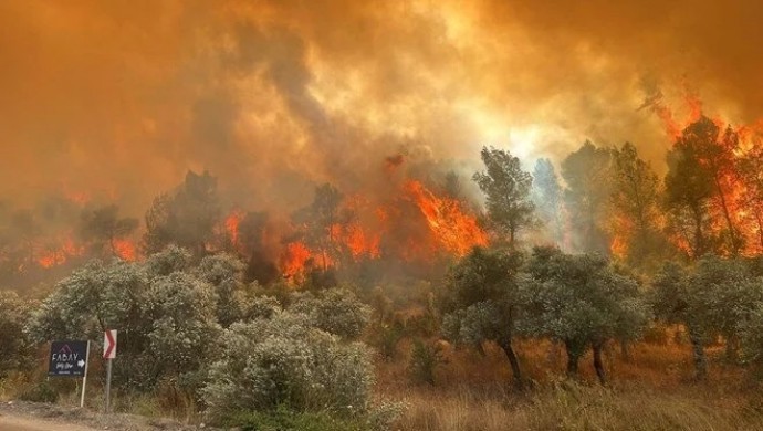 Muğla ve İzmir’de orman yangını