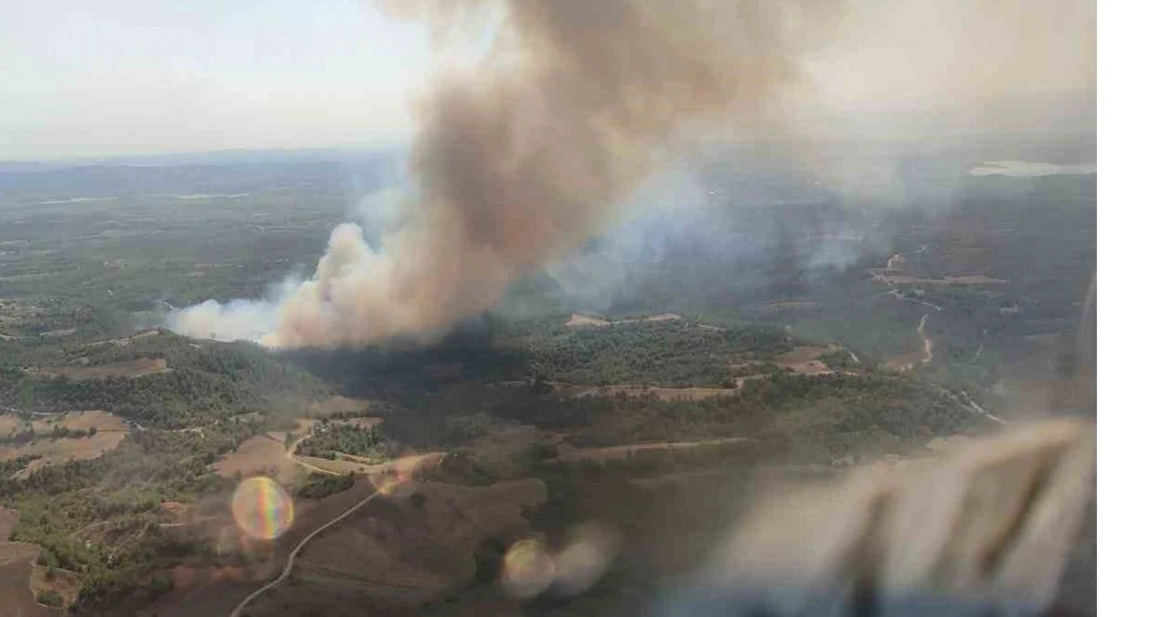 Muğla’nın ardından bir orman yangını da Adana’da: Havadan ve karadan müdahale sürüyor