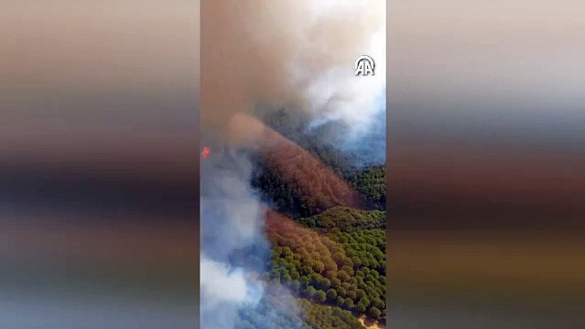 Osmaniye ve Gökçeada’da orman yangını: Rüzgarın etkisiyle büyüdü