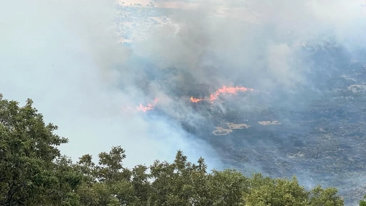 Diyarbakır’daki orman yangını söndürüldü